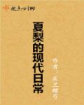 暖爱电视剧全集完整版免费观看