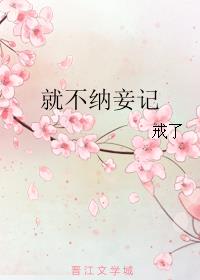 黄蓉传小说