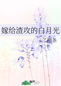 超级小农民txt