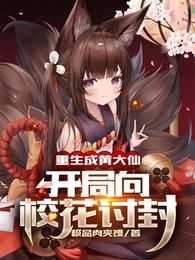 壮志凌云h版