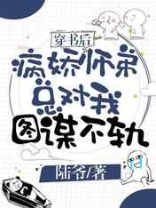 9.1极速版下载