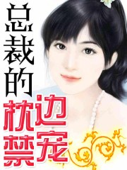 《盛妆山河》免费阅读