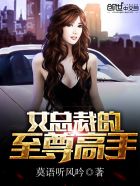 中国大陆人妖ladybays18