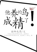 隐形将军剧情分集介绍