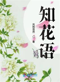 达芬奇密码成人版