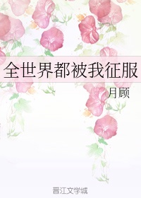 打桩机是什么梗