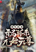 龚玥菲版新梅瓶在线观看dvd