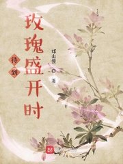 爱情公寓之风流房东