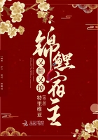 oppo仿ios.zip压缩包