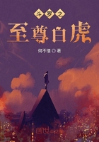 无心法师岳绮罗怀孕