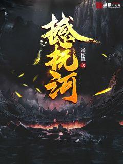 师奶股神