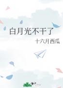 神龙斗士国语版