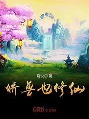 都市美艳后宫洛公子