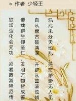 达摩祖师电影