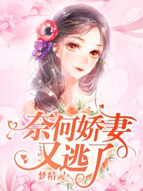 芙蓉王妃