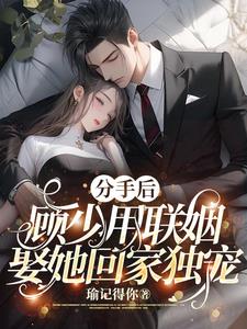 谍战剧无间免费观看完整版