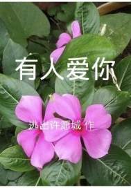 穿越之娇花难养完整版