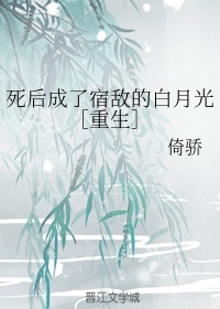 海尔售后hp系统