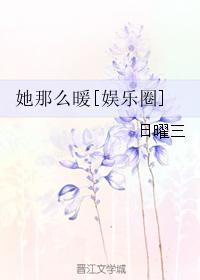 极速光轮