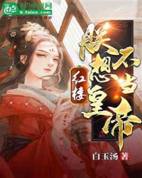 新婚公寓在线观看免费版