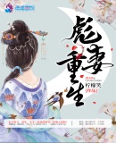 一本高清dvd