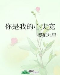 斛珠夫人分集剧情