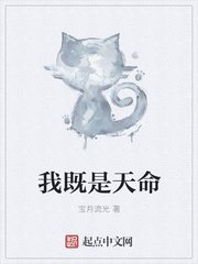 将军抢亲记