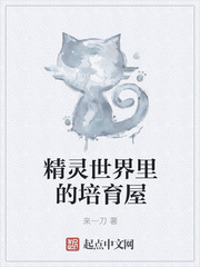 猫鼠游戏动漫免费观看