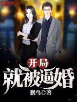 李小璐视频门完整版