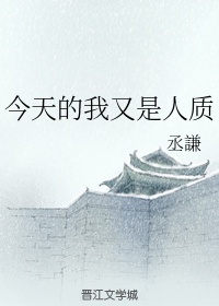 为绿卡和两个移民老外视频