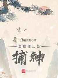 b系列和x系列区别