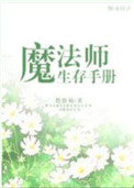 达芬奇密码成人版