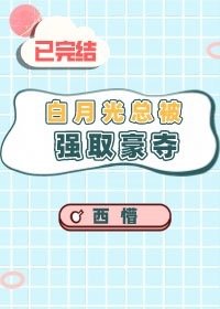 陈情令电视剧全集免费观看