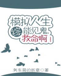 全职猎人漫画