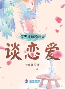 511视频在线观看播放器