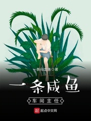 姐妹菊花开一龙四凤