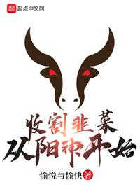 行尸走肉第十二集全24集