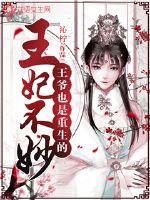 魔道祖师肉