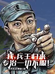 影子武士3