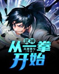 网球王子中文版